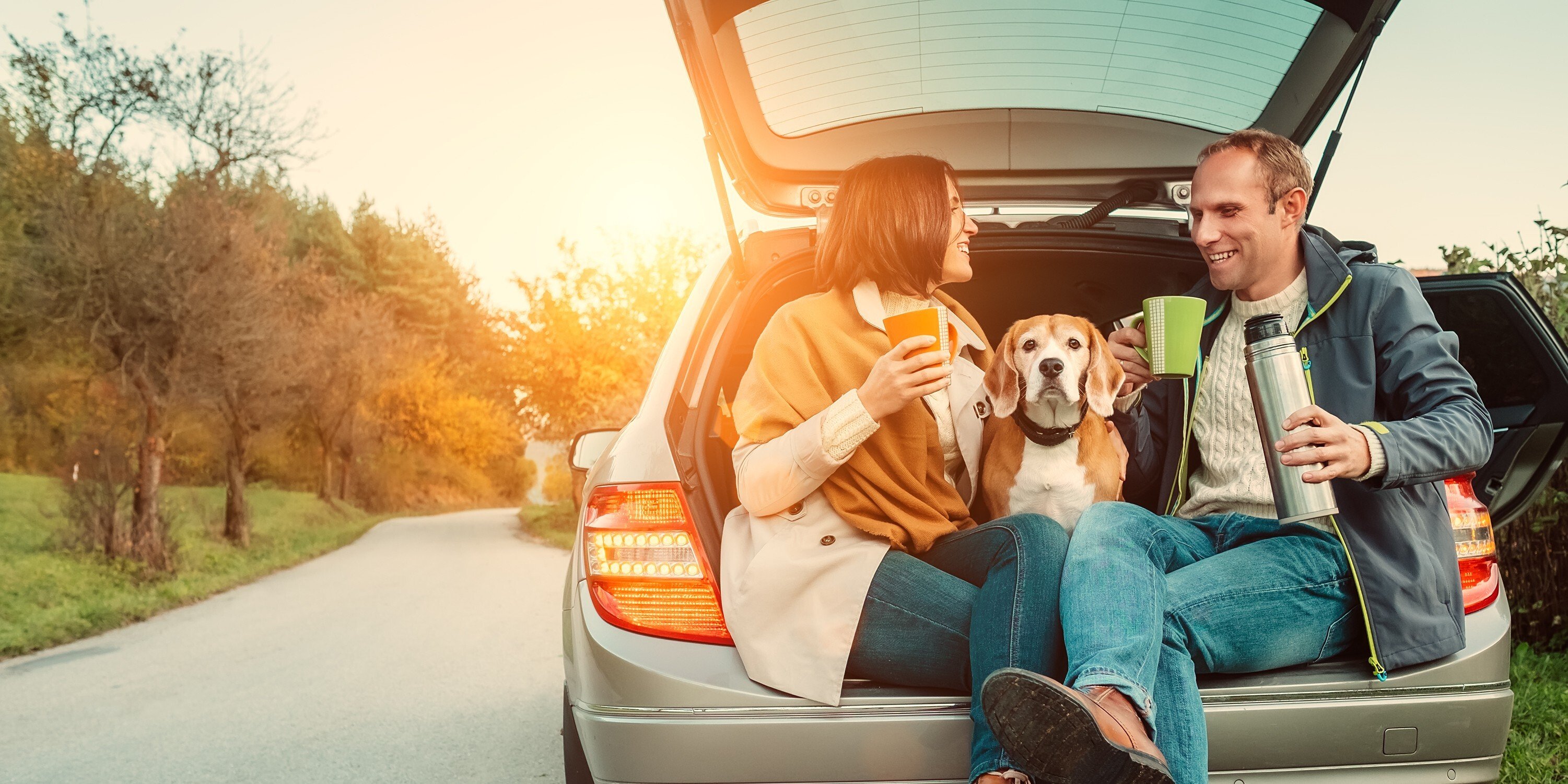 Car with Dog
