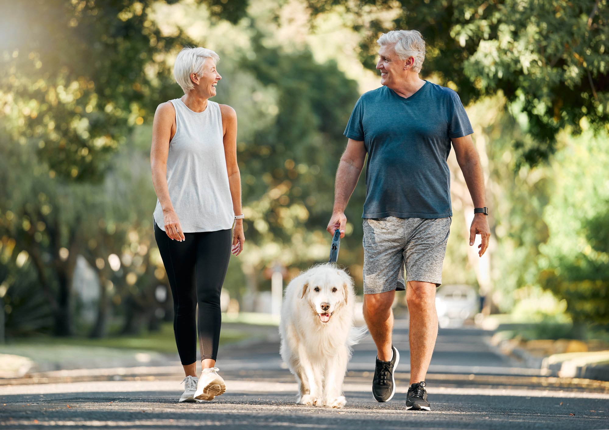 Elder Couple with Dog Elder Couple with Dog