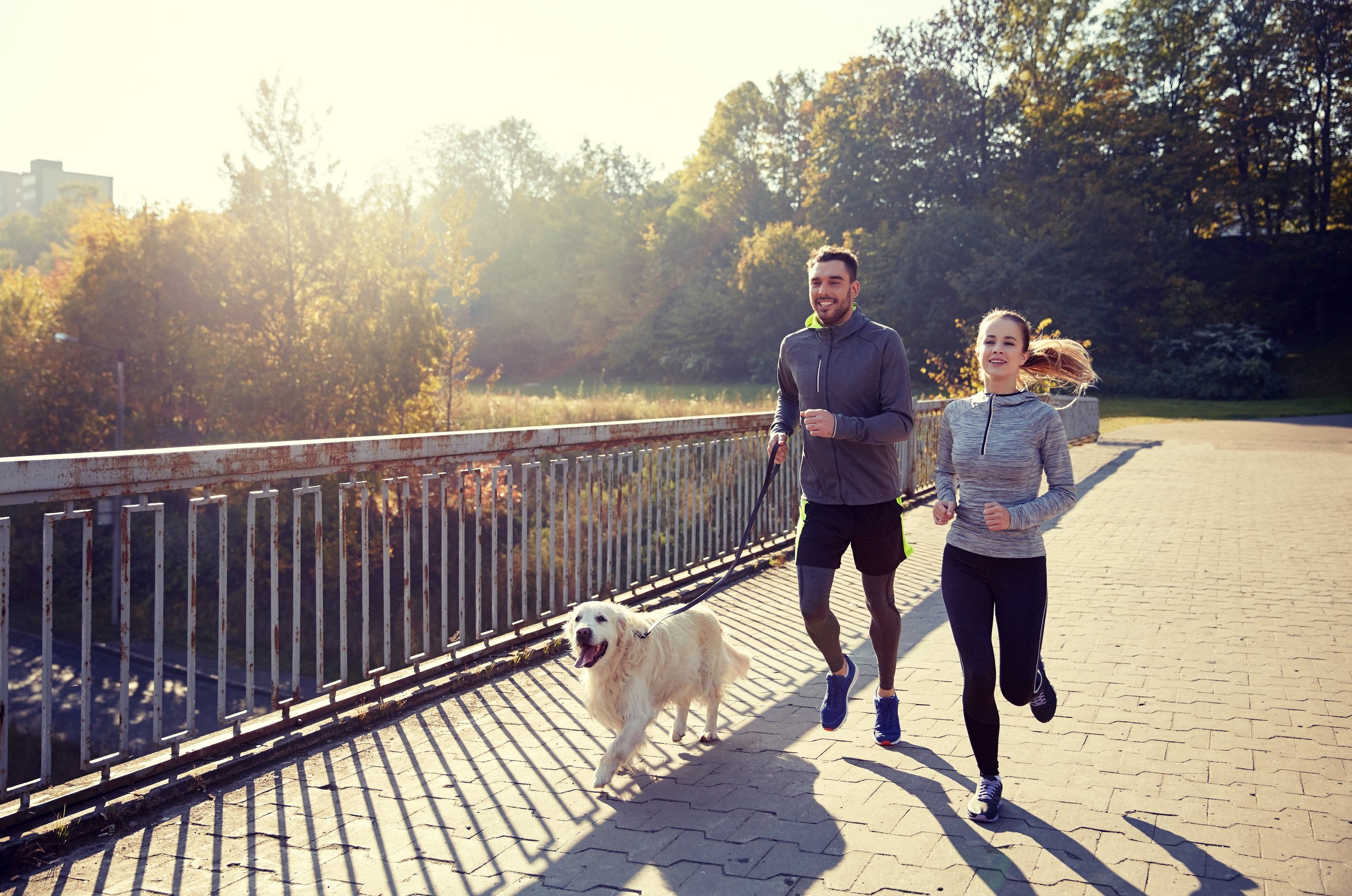 Exercising with Dog